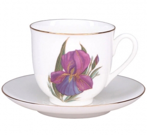 Lomonosov Imperial Porcelain Bone China Cup and Saucer Iris Flower
