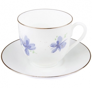 Lomonosov Imperial Porcelain Bone China Coffee Cup and Saucer Violet Flowers
