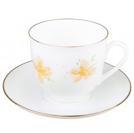 Lomonosov Imperial Porcelain Bone China Cup and Saucer Yellow Flowers