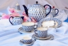 Lomonosov Imperial Porcelain Tulip Cobalt Net Tea Set 6/21