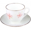 Lomonosov Imperial Porcelain Bone Cup and Saucer Pink Flowers